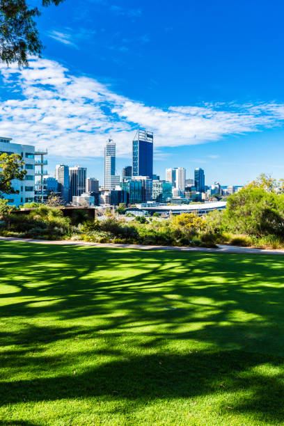 istock Kings Park and Perth city 866039730