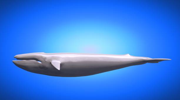 istock 3d rendering of a reflective big Wahle on a background 866046240