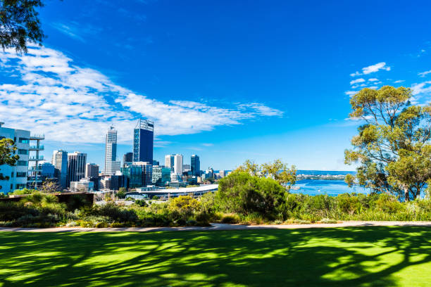 istock Kings Park and Perth city 866046614