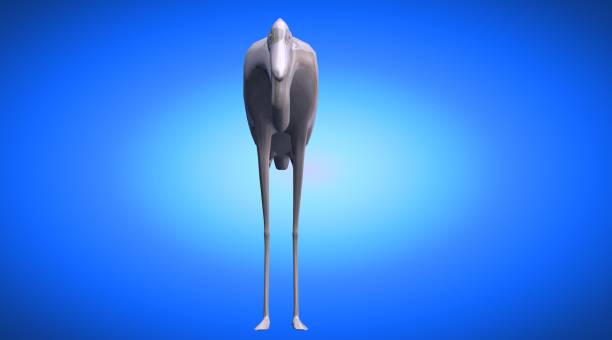 3d rendering of a reflective bird with long legs