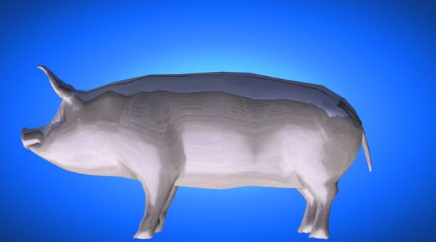 istock 3d rendering of a reflective fat pig animal on a background 866047506