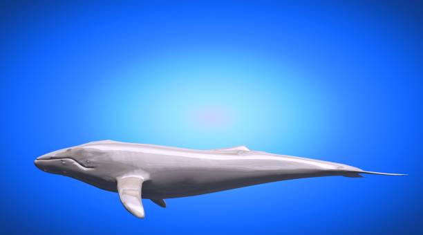 istock 3d rendering of a reflective fish shape swimming with fins 866048650