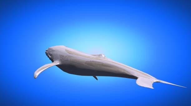 istock 3d rendering of a reflective fish shape swimming with fins 866048802