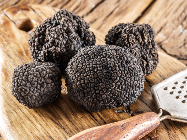 istock Black truffles on the old wooden table. 866053210