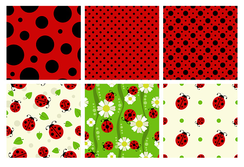 Ladybug patterns set. Vector cute ladybird textures