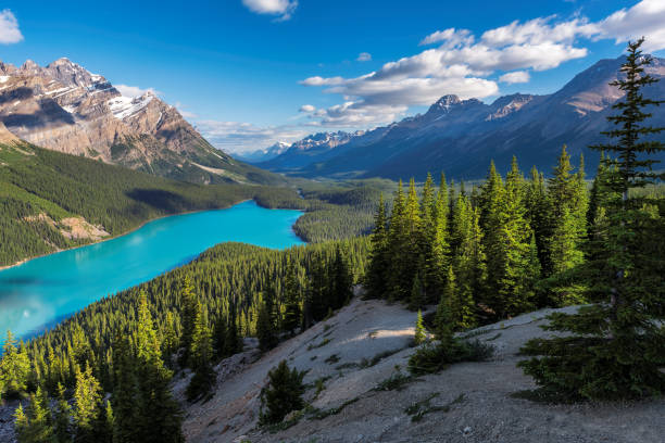 istock Peyto lake in Rocky Mountains, Canada 866061226