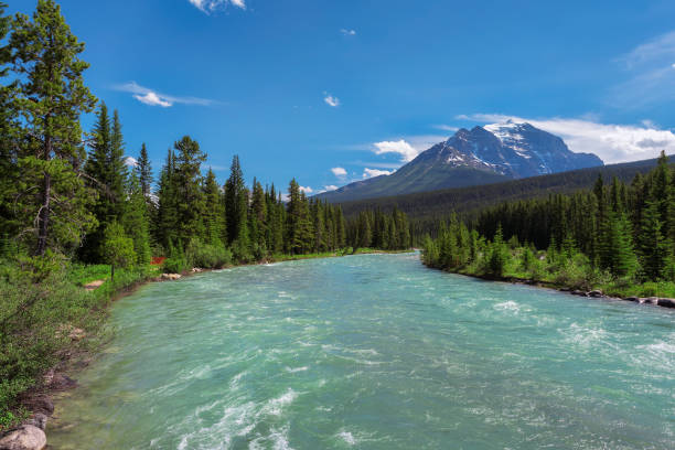 istock Beautiful turquoise river in Banff National Park, Canada 866061268