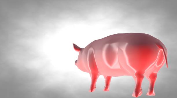 istock 3d rendering of a reflective fat pig animal on a background 866064838