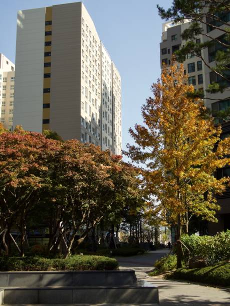 istock Apartment in Korea Cheongju City 866065606
