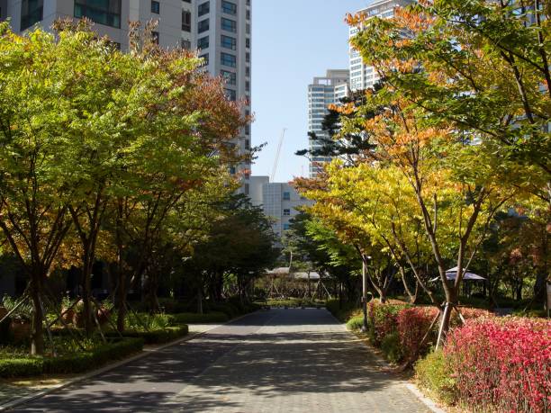 istock Apartment in Korea Cheongju City 866065618