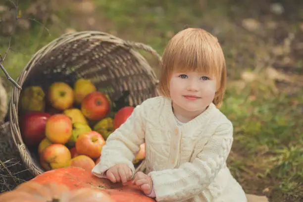 Photo of Close portrait baby girl with blond red hair wearing ivory colour white sweater enjoy life time city village with basket ped crib full of fresh yellow red apples and spring autumn pumpkin happy smile