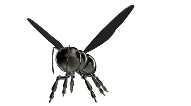 3d rendering of a reflective bee insect on a background