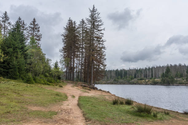 istock The Silberteich lake  in Harz, Germany 866083934