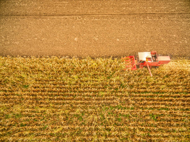 istock Aerial view on the combine working on the corn field 866084902