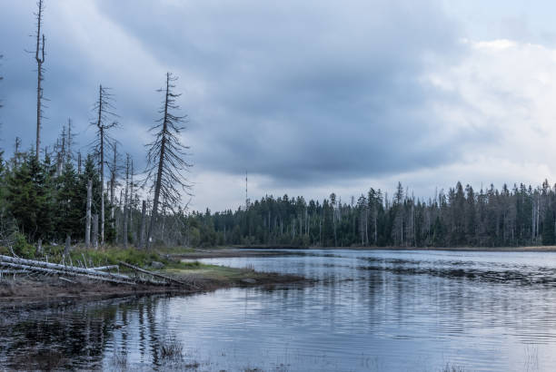 istock The Silberteich lake  in Harz, Germany 866087314