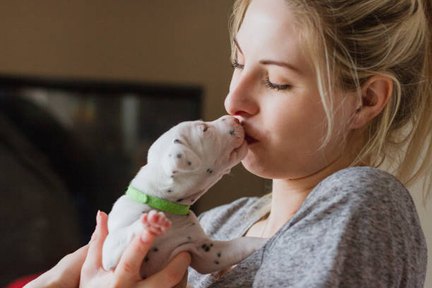 istock Kissing Dalmatian Puppy 866091542