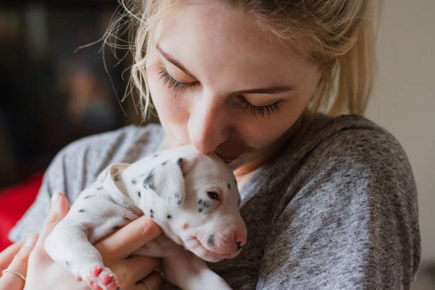 istock Kissing Pet Dalmatian Puppy 866091548