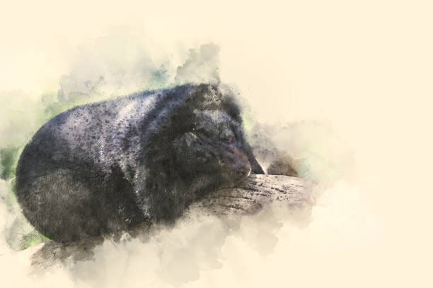 istock Abstract bear in the wild on watercolor painting background 866091920