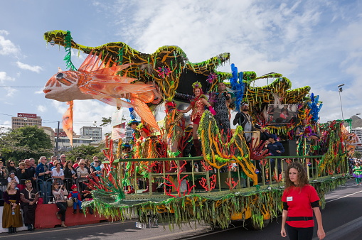 SANTA-KRUZ-DE-TENERIFE, SPAIN - March 6, 2014: The theme of the carnival \