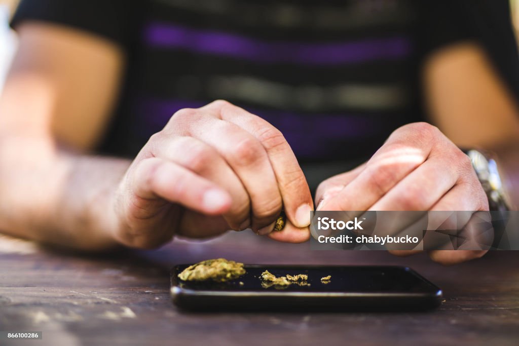 Man`s hands crunching marijuana flower Cannabis Plant Stock Photo