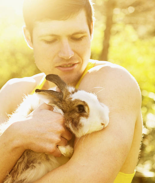 istock Bare-chested muscle man cuddles angora rabbit tenderly 866103986