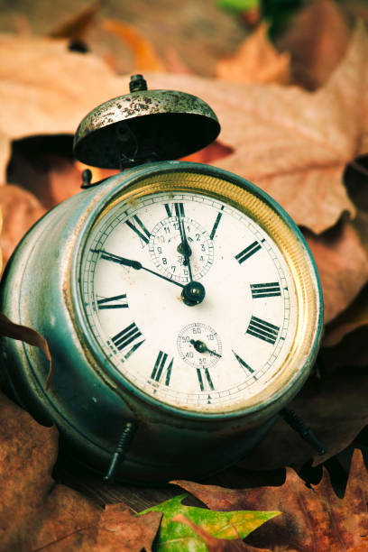 istock old alarm clock surrounded by dry leaves 866106886