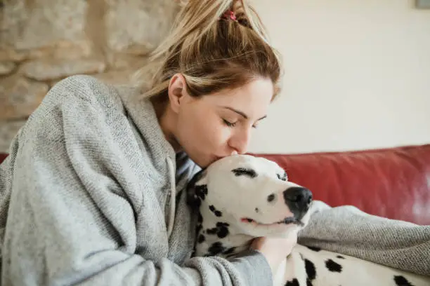 Young woman is kissing her pet dalmatian dog on the head.