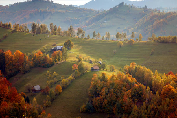 istock Autumn sunrise landscape 866114940