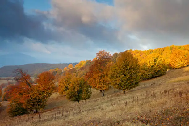 Photo of Autumn sunrise landscape