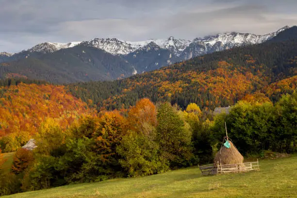 Photo of Autumn sunrise landscape