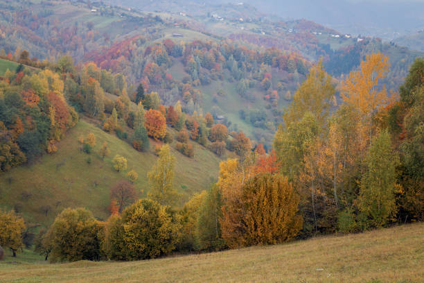 istock Autumn sunrise landscape 866118402