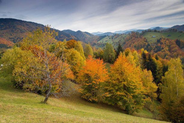istock Autumn sunrise landscape 866118780