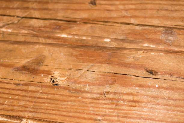 pine boards, texture, background - veneer plank pine floor imagens e fotografias de stock