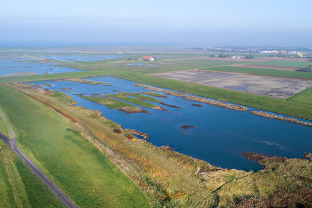 marismas detrás del dique - vista aérea - netherlands dyke polder aerial view fotografías e imágenes de stock