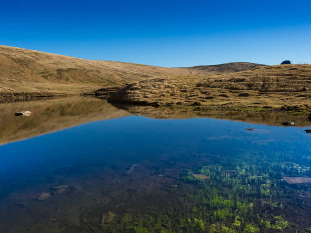 istock Crystal clear blue mountain lake with green algae on the bottom 866123918