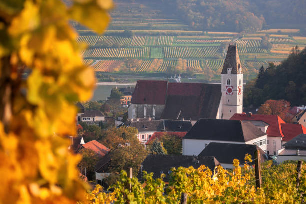 istock Famous vineyard with church in Spitz, Wachau, Austria 866124270