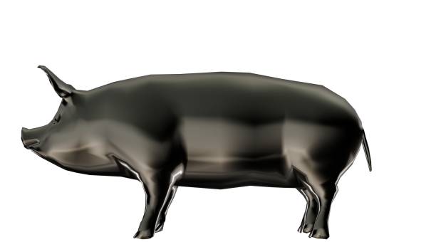 3d rendering of a reflective fat pig animal on a background