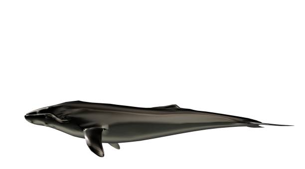 istock 3d rendering of a reflective fish shape swimming with fins 866130672