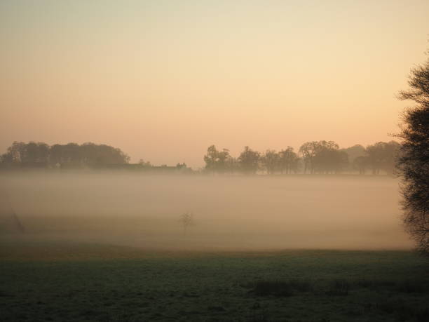 istock Bare trees covered with morning mist in Windsor Great Park 866130682