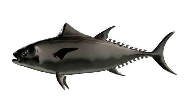 istock 3d rendering of a reflective fish shape swimming with fins 866131270