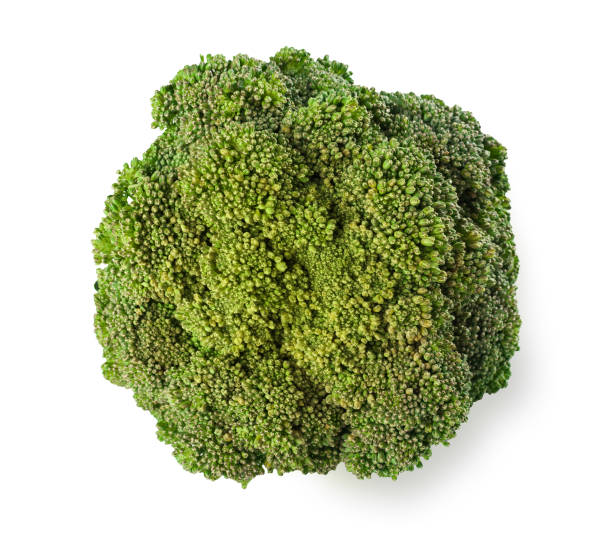 Fresh ripe broccoli tree with green leaves isolated on white