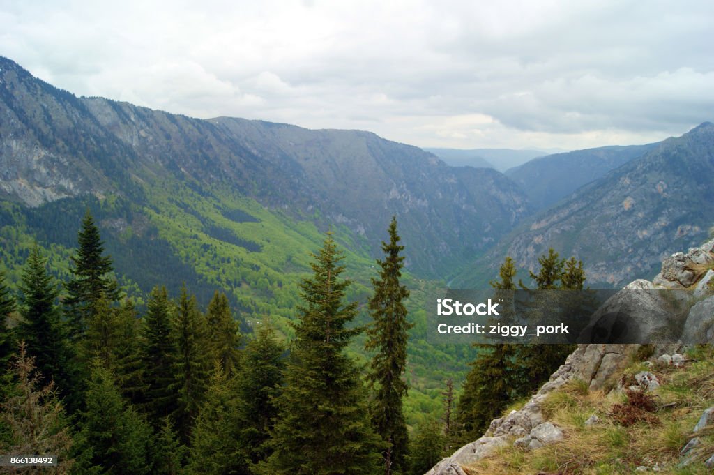 Curevac viewpoint of Tara Canyon in Durmitor National Park, Montenegro. Canyon Stock Photo