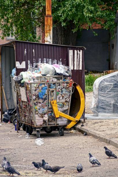 istock Full garbage container on the road and pigeons on the asphalt 866140014