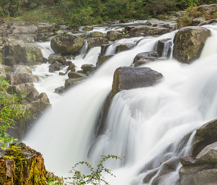 McLaren Falls Park in Tauranga, New Zealand