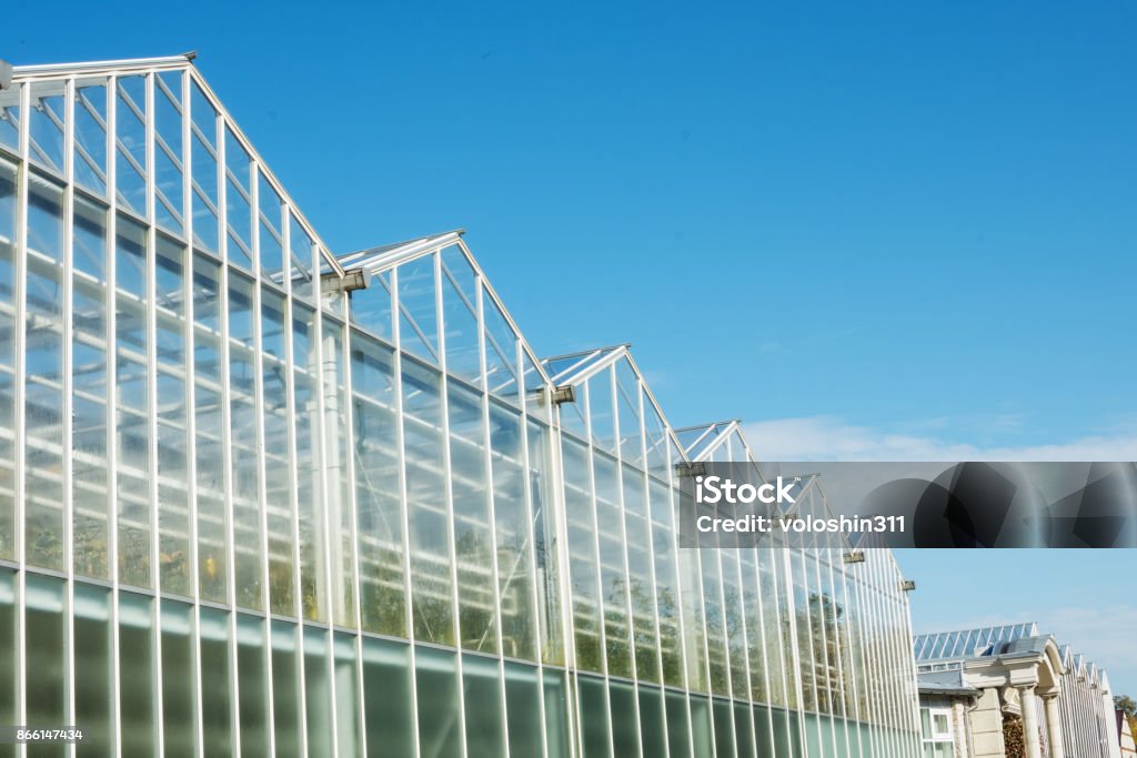 glass facade of greenhouse in garden against blue cloudy sky glass facade of greenhouse in garden against blue sky Greenhouse Stock Photo