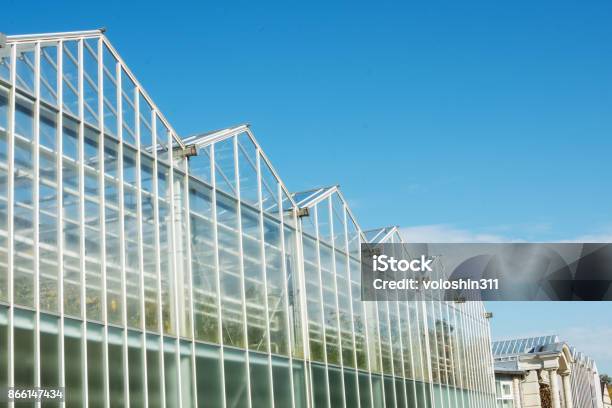 Glass Facade Of Greenhouse In Garden Against Blue Cloudy Sky Stock Photo - Download Image Now