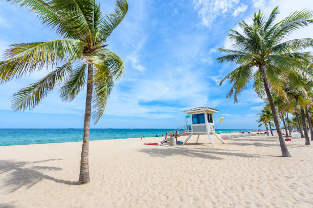 райский пляж в форт-лодердейл во флориде в прекрасный день суммы. тропический пляж с пальмами на белом пляже. сша. - fort lauderdale стоковые фото и изображения