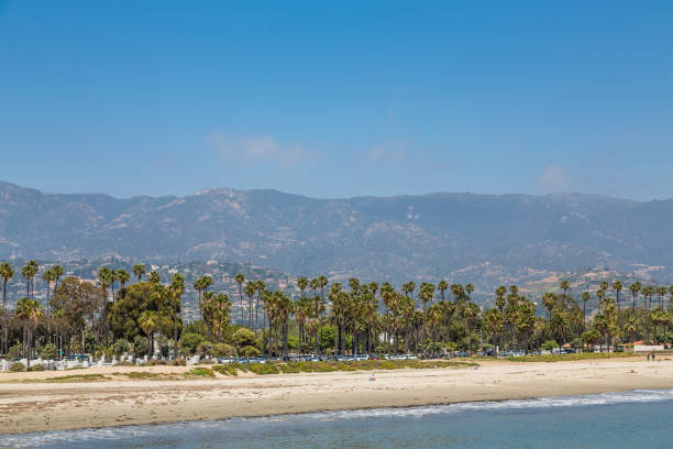 istock Beach Palms and Mountains in Santa Barbara 866168156