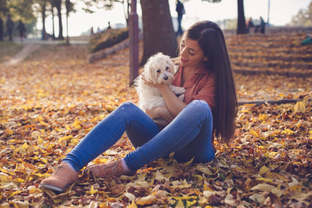 istock Woman and adorable maltese dog 866173484