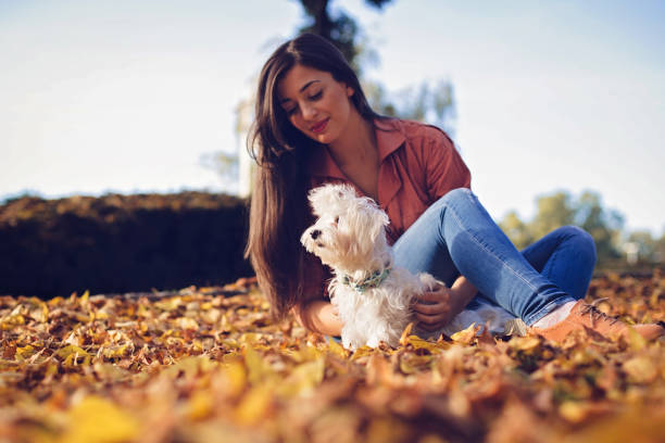 istock Happy with my adorable friend 866174158